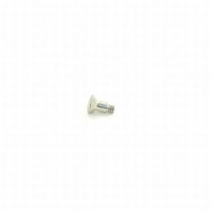 Escutcheon Mounting Screw Satin Chrome Finish