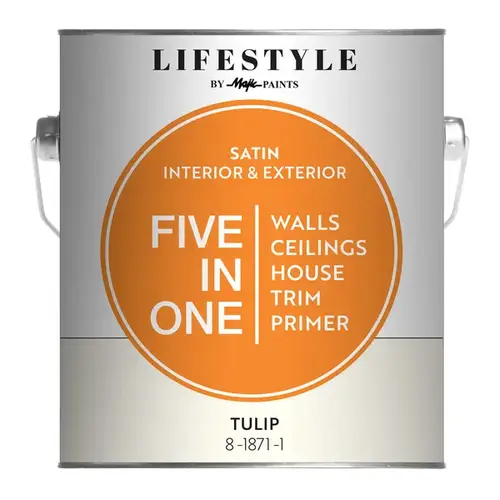 Lifestyle 5-in-1 Satin Interior/Exterior Paint - Gallon