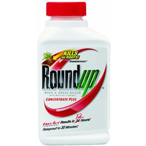 Roundup 18% Concentrate Weed & Grass Killer Plus - 16oz