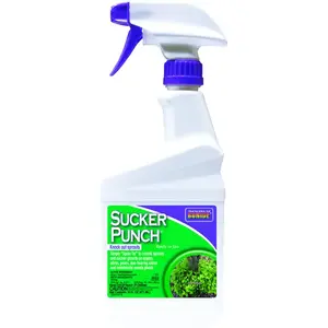 Bonide Sucker Punch Undesirable Fruit Weed & Feed RTU Liquid 16 oz