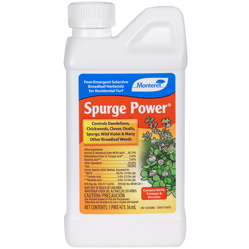 Monterey Spurge Power Broad Leaf Weed Control - 16oz