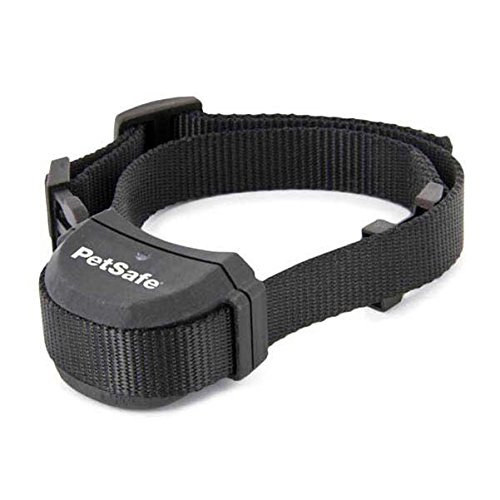 Stay and Play Wireless Collar