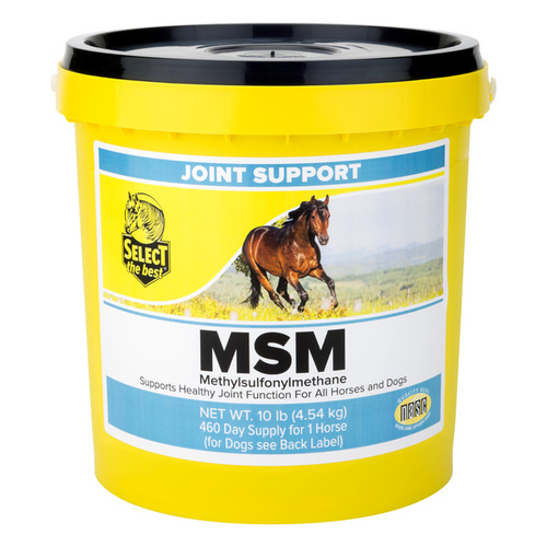 Richdel, Inc 011-401006 Select The Best MSM 99.8% 10-LB Jar