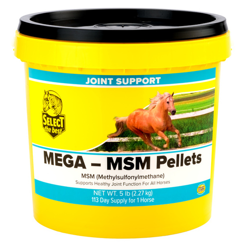 Richdel, Inc 011-660502 Select The Best Mega-MSM Pellets 5-LB