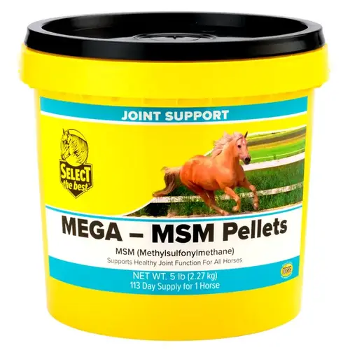 Richdel, Inc 011-660502 Select The Best Mega-MSM Pellets 5-LB