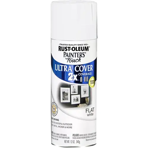 PAINTER'S Touch Flat Spray Paint, Flat, White, 12 oz, Aerosol Can - pack of 6