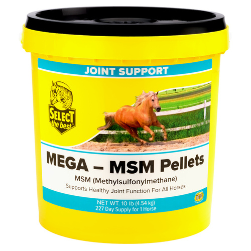 Richdel, Inc 011-661004 Select The Best Mega-MSM Pellets 10-LB