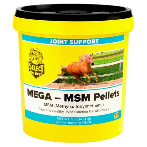 Richdel, Inc 011-661004 Select The Best Mega-MSM Pellets 10-LB