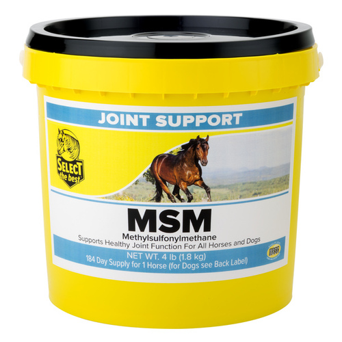 Richdel, Inc 011-400405 Select The Best MSM 99.8% 4-lb Jar