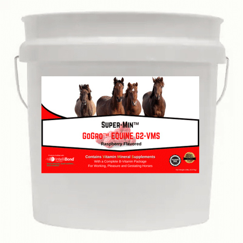 Florida Mineral Salt & Ag Prod 7862 Super-Min GoGro Equine 20 pounds Economy Pail