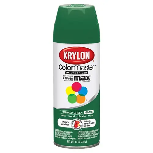 Krylon Indoor/Outdoor Emerald Green Aerosol