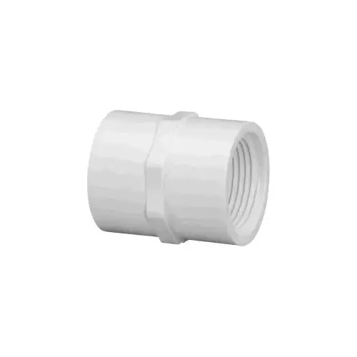 Pipe Coupling, 3/4 in, FPT, PVC, White, SCH 40 Schedule