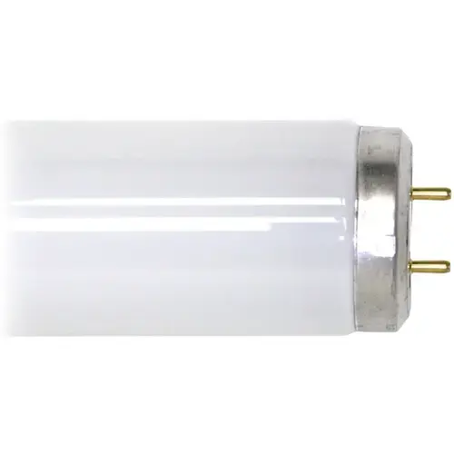 Fluorescent Tube Light Bulb 24" 20-Watt T12 G13 Cool White - pack of 30