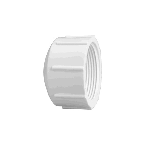 Pipe Cap, 2 in, FPT, PVC, White, SCH 40 Schedule