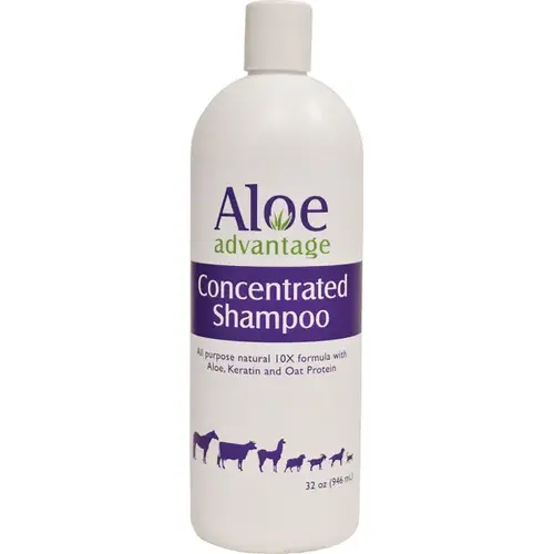 ALOE ADVANTAGE CONCENTRATED SHAMPOO - QUART