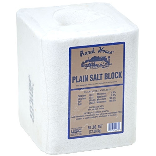 Salt Block Plain White 50#