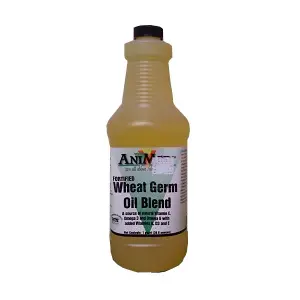 AniMed Wheat Germ Oil Blend For Horses & Dogs - Source Of Vitamin E, Omega 3 & 6, 1 Gallon
