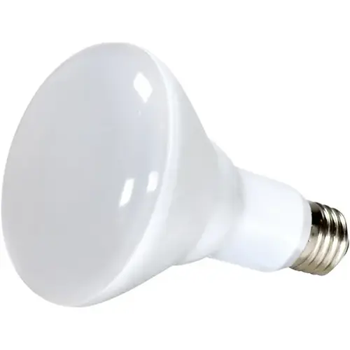 LED Bulb BR30 BR30 E26 (Medium) Warm White 65 W Frosted