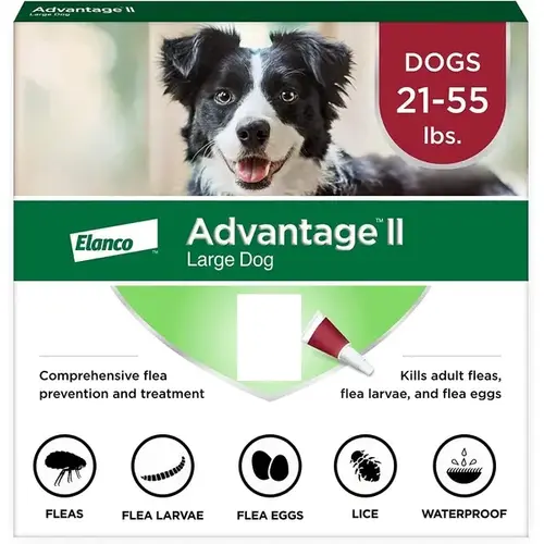 Flea And Tick Prevention & Treatment for Dogs 21-55-Lbs., 2 Doses Pair