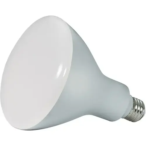 75-Watt Equivalent BR40 Medium Base LED Light Bulb in Warm White