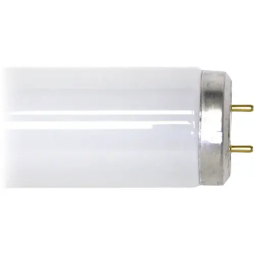 Fluorescent Bulb 40 W T12 1.5" D X 48" L Cool White Linear 4100 K Frosted