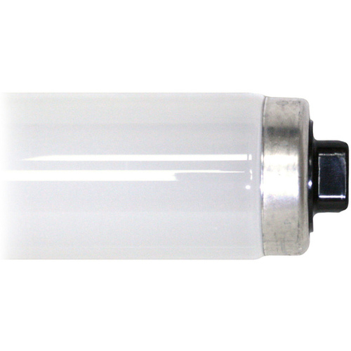 Fluorescent Tube Light Bulb 96" 95-Watt T12 R17d Cool White (Energy Saver)