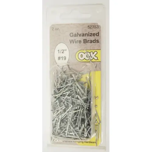 Brad Nails 19 Ga. X 1/2" L Galvanized Steel 1 pk 1.5 oz Galvanized