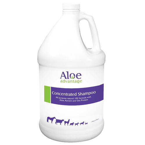 ALOE & OATMEAL SHAMPOO CONCENTRATE - GALLON