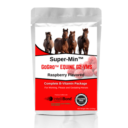 Florida Mineral Salt & Ag Prod 22631157 Super-Min GoGro Equine - 8 pound Pouch