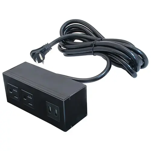 Angled Power and Data Module, Dock 2110, with 2 Outlets, Surface Mount Black Housing: Black, epoxy coated