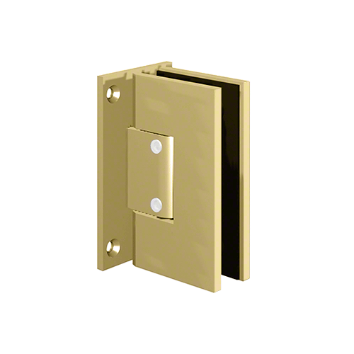 CLEAR SPACE Polished Brass Replacement Wall Mount Hinge