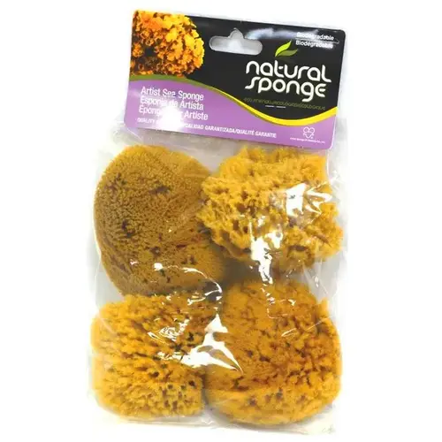 Faux/Artist Natural Sea Sponge ProPlus 4.5" W X 4" L Beige Natural Sponge Beige