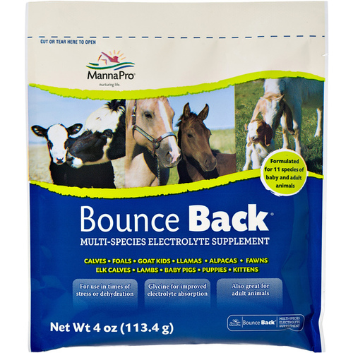 MANNA PRO PRODUCTS LLC 1000352 Bounce Back Multi Species Electrolyte Supplement 4oz.