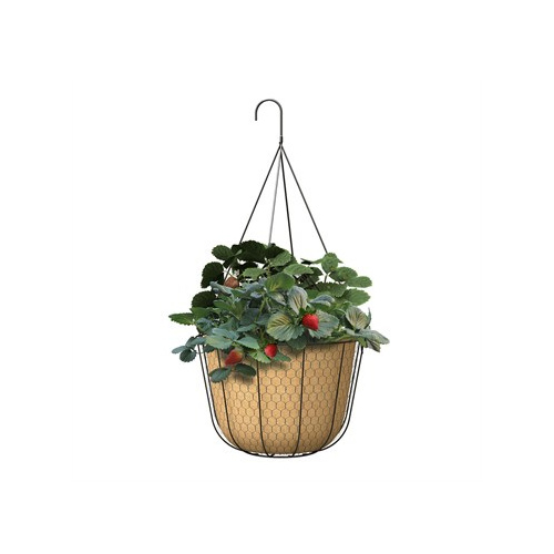 PANACEA 84280 Panacea 12" Rustic Farmhouse Collection Hanging Basket