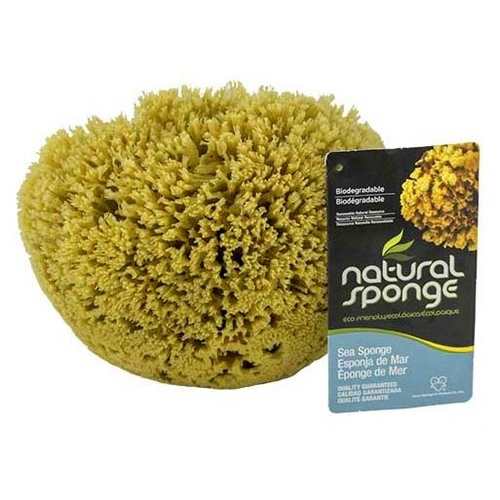 SPONGE-NAT GRASS PAINTNG