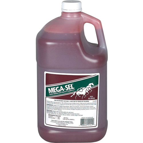 Mega-Sel 11141 MEGA-SEL LIQUID FORMULA FOR HORSES - GALLON