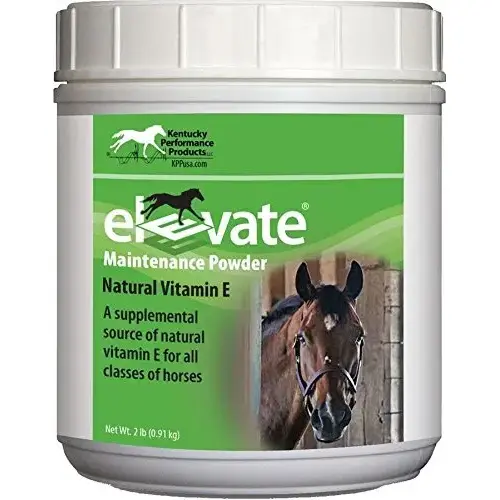 Kentucky Performance Products 990005 Elevate Maintenance Powder 2-LB