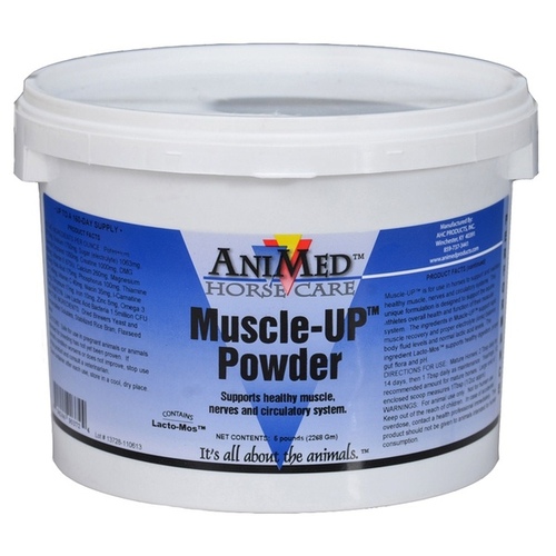 AHC Products Inc - AniMed 90372 Muscle-UP Supplement for Horses 5-lbs Powder