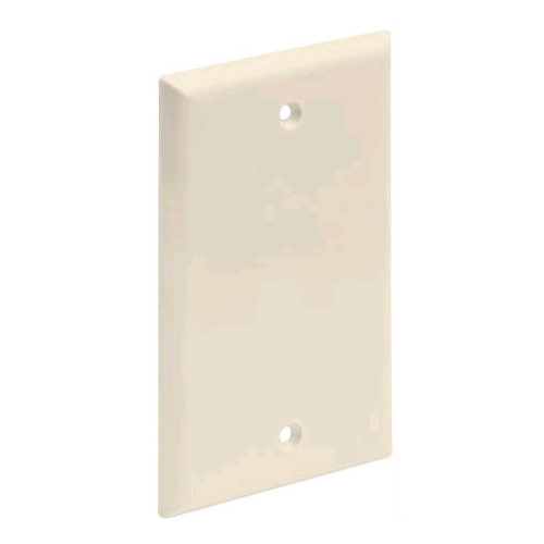 Blank Wall Plate