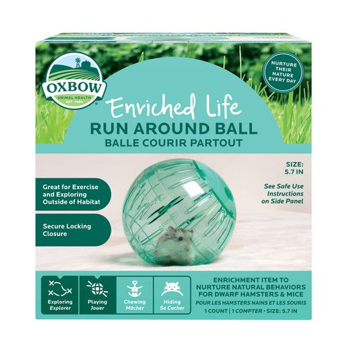 Run Around Ball for Small Pets