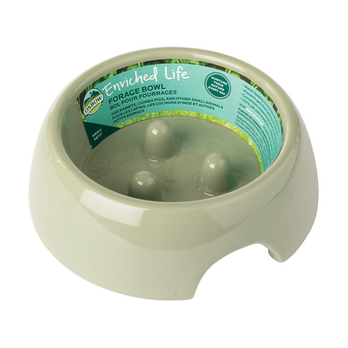 Forage Small Food Bowl for Small Pets