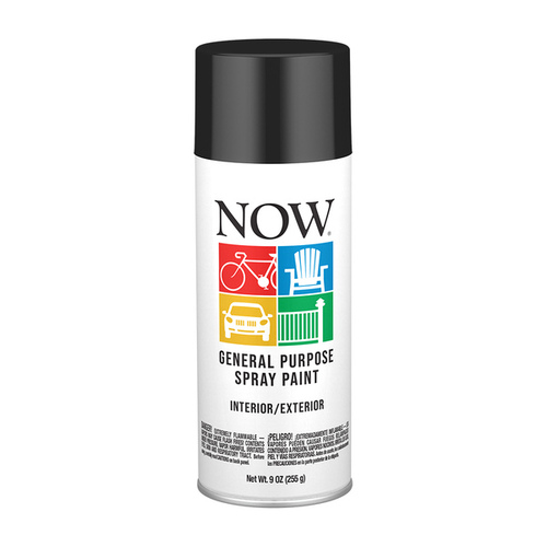 Krylon Now Spray Enamel 9 oz - Gloss Black