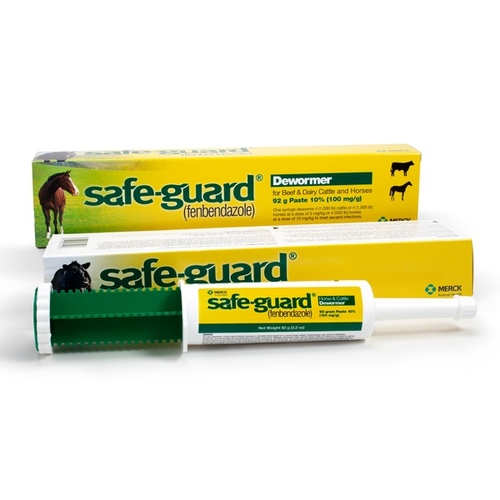 ANIMAL HEALTH INTERNATIONAL 11214734 Safe-Guard Equine and Cattle Dewormer Paste - 92gm