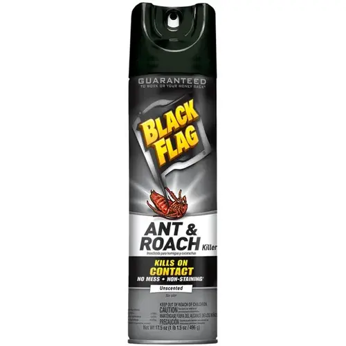 BLACK FLAG HG-11031-2 11031 Ant and Roach Killer, Liquid, 17.5 oz Aerosol Can Light Yellow/Water White