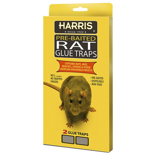 Harris HRG-2 Harris Pre-Baited Rat Glue Traps