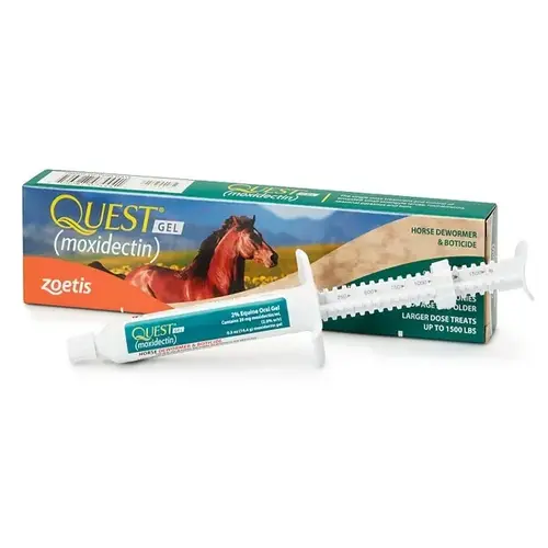 Quest Plus Equine Gel, Moxidectin/Praziquantel, 14.4-gm.