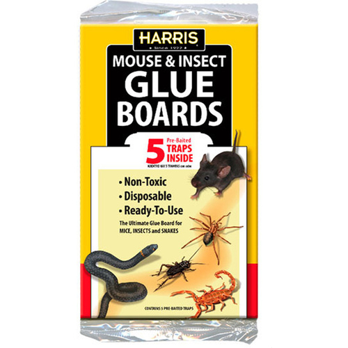 Harris GB-5 Harris Mouse & Insect Glue Boards