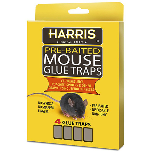 Mouse Glue Trap - pack of 4