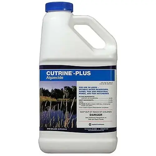 Cutrine Plus Liquid Algaecide Gallon