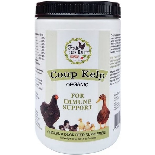 Behlen KELP-16 ORGANIC COOP KELP 20OZ KELP-16